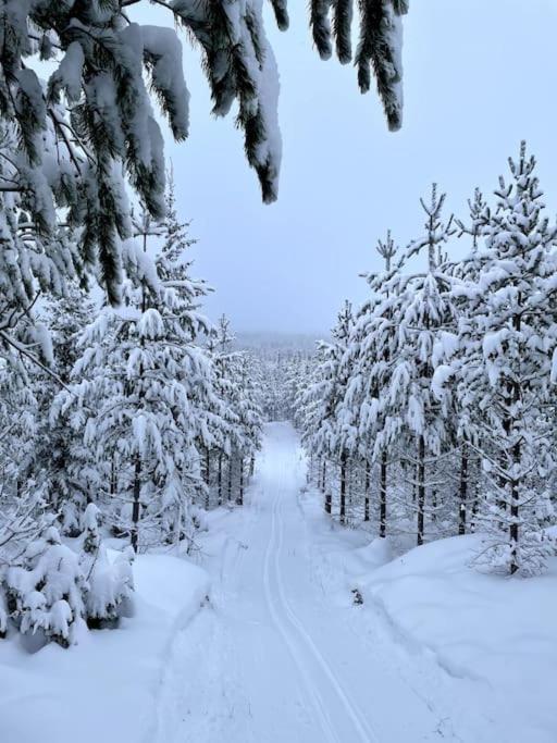 Cozy Mountain View Apartment Orrviken Zewnętrze zdjęcie