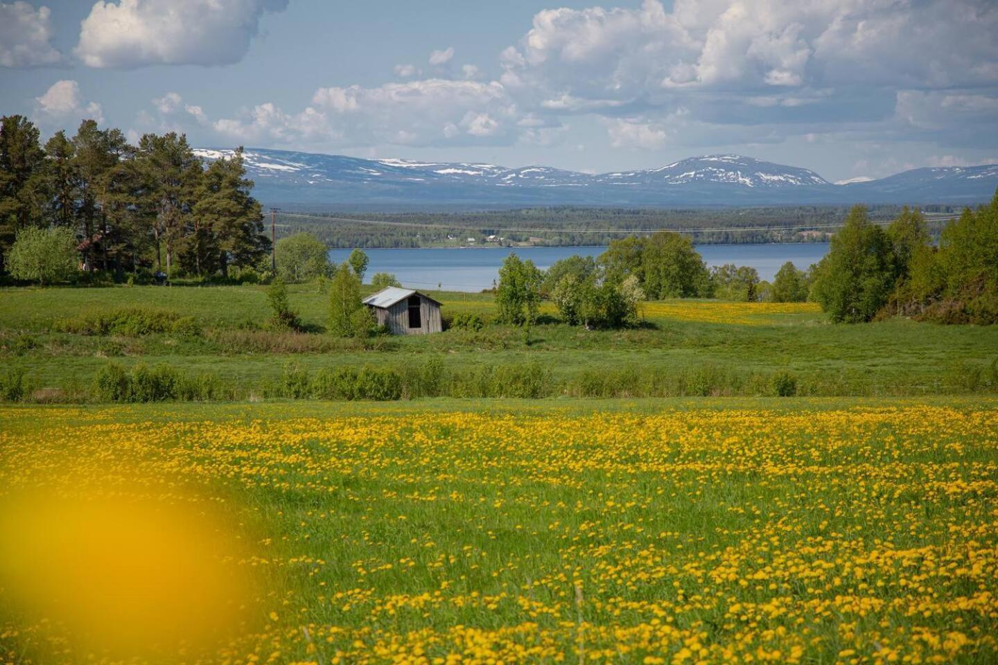 Cozy Mountain View Apartment Orrviken Zewnętrze zdjęcie